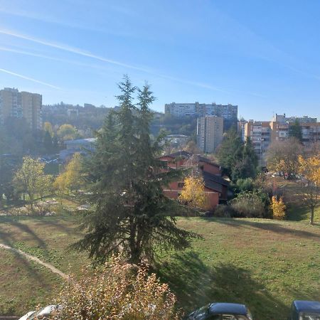 Apartman 23 Bělehrad Exteriér fotografie