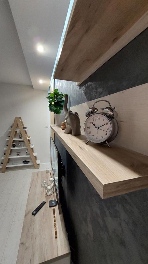 Apartman 23 Bělehrad Exteriér fotografie