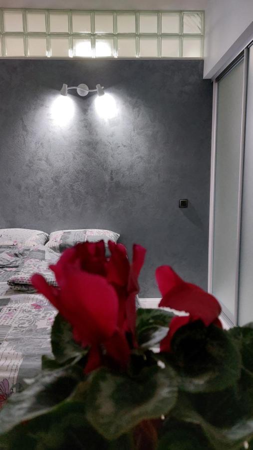 Apartman 23 Bělehrad Exteriér fotografie