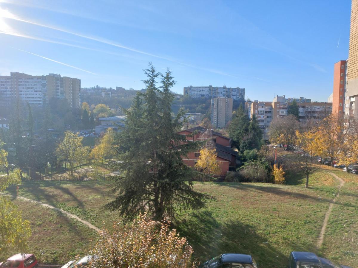Apartman 23 Bělehrad Exteriér fotografie